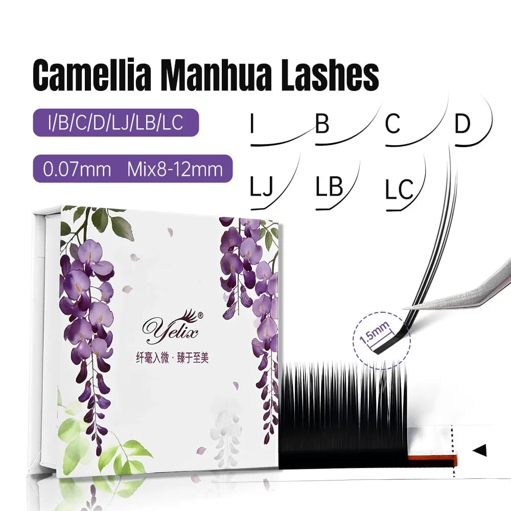 Camellia přírodní řasy s krátkým kořínkem
